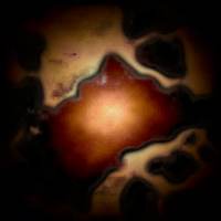 tex-389.jpg 200*200 3,6KB