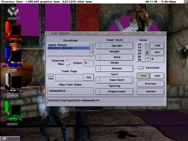 Figure 3:The True Type Library Options