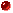 Ein roter Ball> F&uuml;r den Jaguar<br>
</UL>
<br>
Vergessen sollten wir die Trainer nicht die
<UL><IMG SRC=
