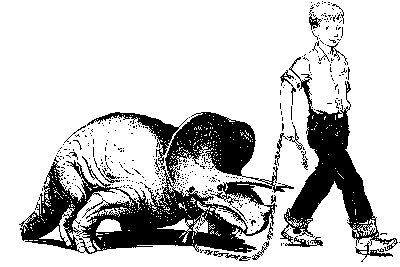 Illustration from "The Enormous Egg"
by Oliver Butterworth