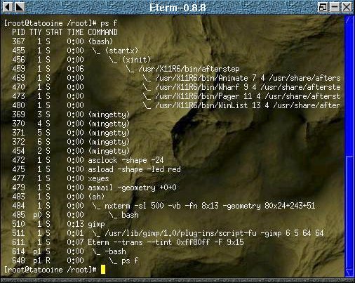 GNU ps f