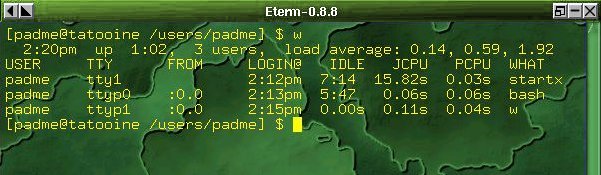 GNU w