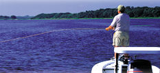 Image of Fisherman
