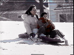 sled1