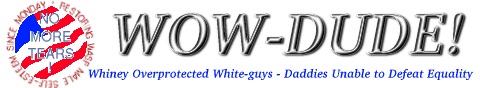 WOW-DUDE! logo