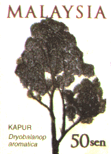 graphics