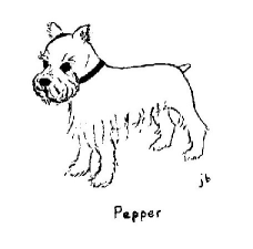 Pepper Dog