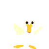 duck gif