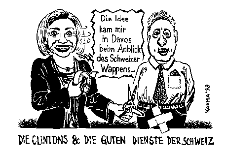 Hillary's idea  (10498 Byte)