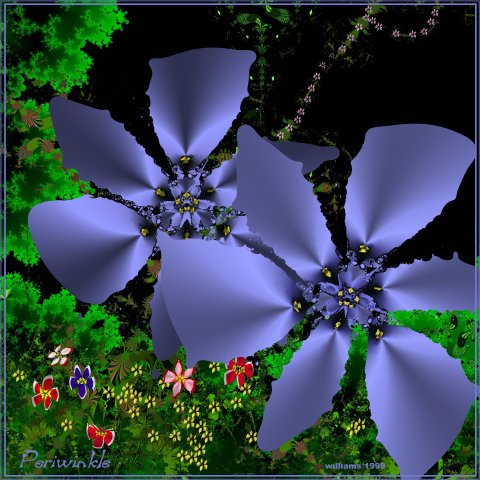 /user/Periwinkle.jpg