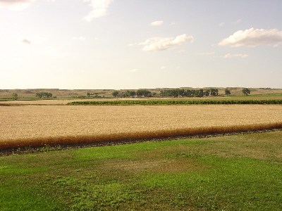 Family Field