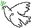 dove2