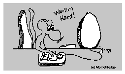 Mouse.gif