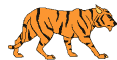 tiger_walking.gif (21810 bytes)