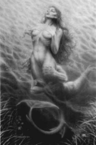 NYSHA-LG.jpg