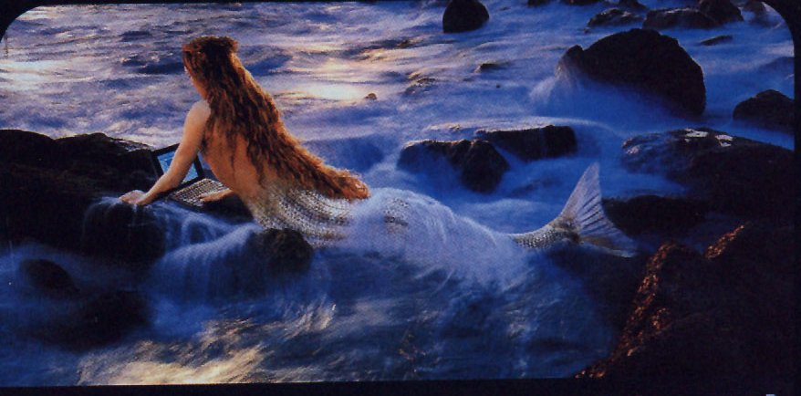 mermaidback.jpg