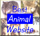 Best Animal Site Award