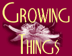 Growing Things