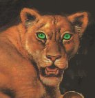 Lyonssss {=^:^=}))))))))))~~