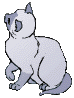 Ginkgo's Cyber Pet Adoption Agency