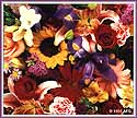mixed flowers