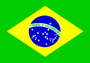 Brazilian Flag