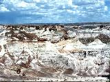 Alien Landscape?