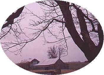 http://www.geocities.com/SouthBeach/Dunes/9573/Backgrounds/Barn1a.jpg (15953 bytes)