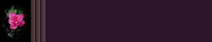http://www.geocities.com:80/SouthBeach/Dunes/9573/Backgrounds/Flower8bgrd1.jpg (6420 bytes)