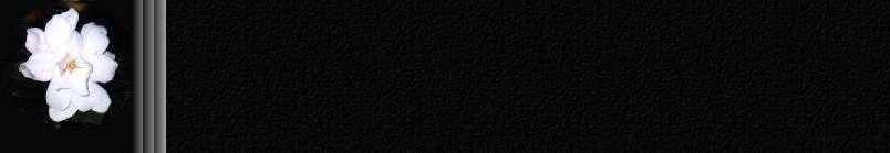 http://www.geocities.com:80/SouthBeach/Dunes/9573/Backgrounds/Gardenia.jpg (9388 bytes)