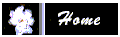 http://www.geocities.com:80/SouthBeach/Dunes/9573/Backgrounds/Gardeniahome.gif (1631 bytes)