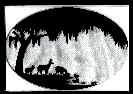 http://www.geocities.com:80/SouthBeach/Dunes/9573/Backgrounds/Silloueteblank.jpg (6087 bytes)
