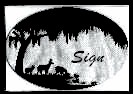 http://www.geocities.com:80/SouthBeach/Dunes/9573/Backgrounds/Sillouetesign.jpg (6521 bytes)