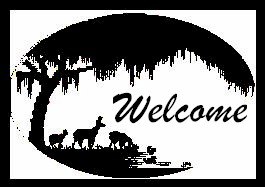 http://www.geocities.com:80/SouthBeach/Dunes/9573/Backgrounds/Sillouetewelcome.jpg (10467 bytes)