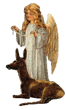 Angel Of Animals