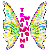 Training Wings