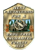 Next Site