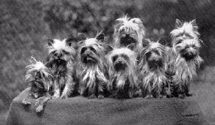 ancestors
