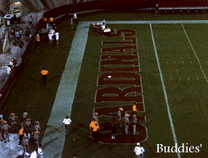 Phoenix Cardinals Field