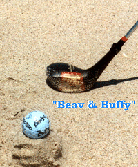 Buffy & Beav, Walt Disney World, Florida, Travel, Road Trip, Vacation