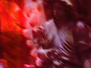 PICTURE HERE