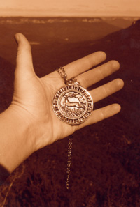 medal2.JPG (26504 bytes)