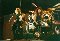 A banda toda