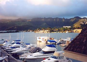 Koko Marina