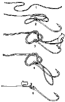 N� palomar