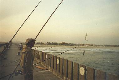 Plataforma