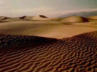 Dunas de Icapu� (Litoral Oeste)