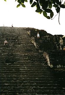 Climbing up into the sun