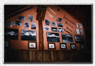 Lodge Picture Wall - �Gus Noboa