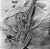 rosenberg_arial.JPG (221199 bytes)